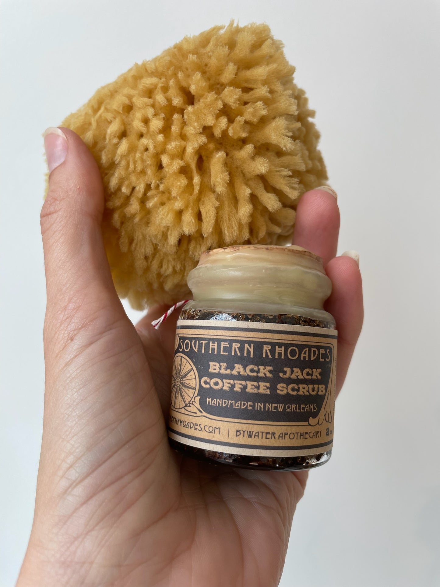 sea sponge loofah