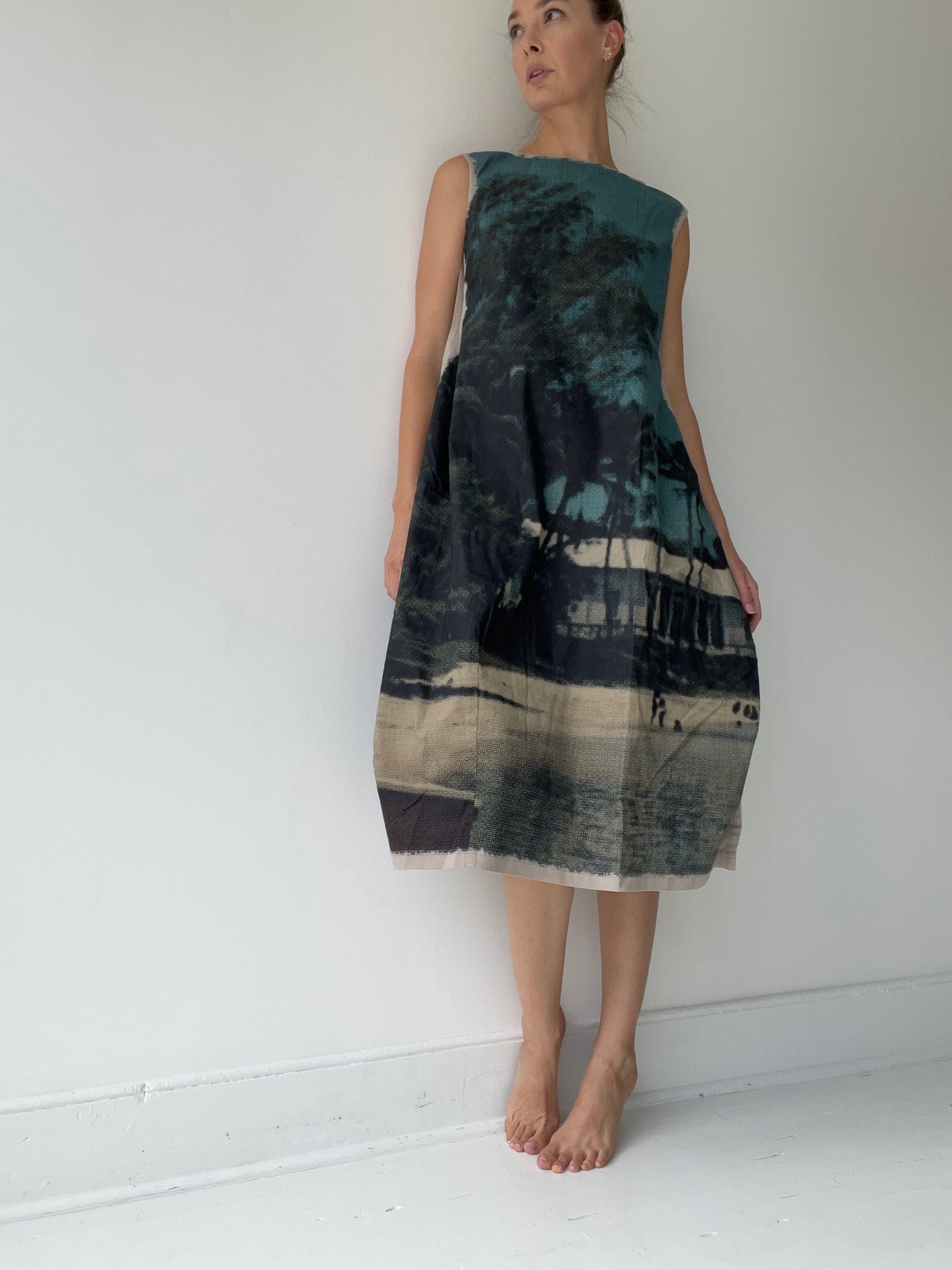 rundholz dip scene print dress