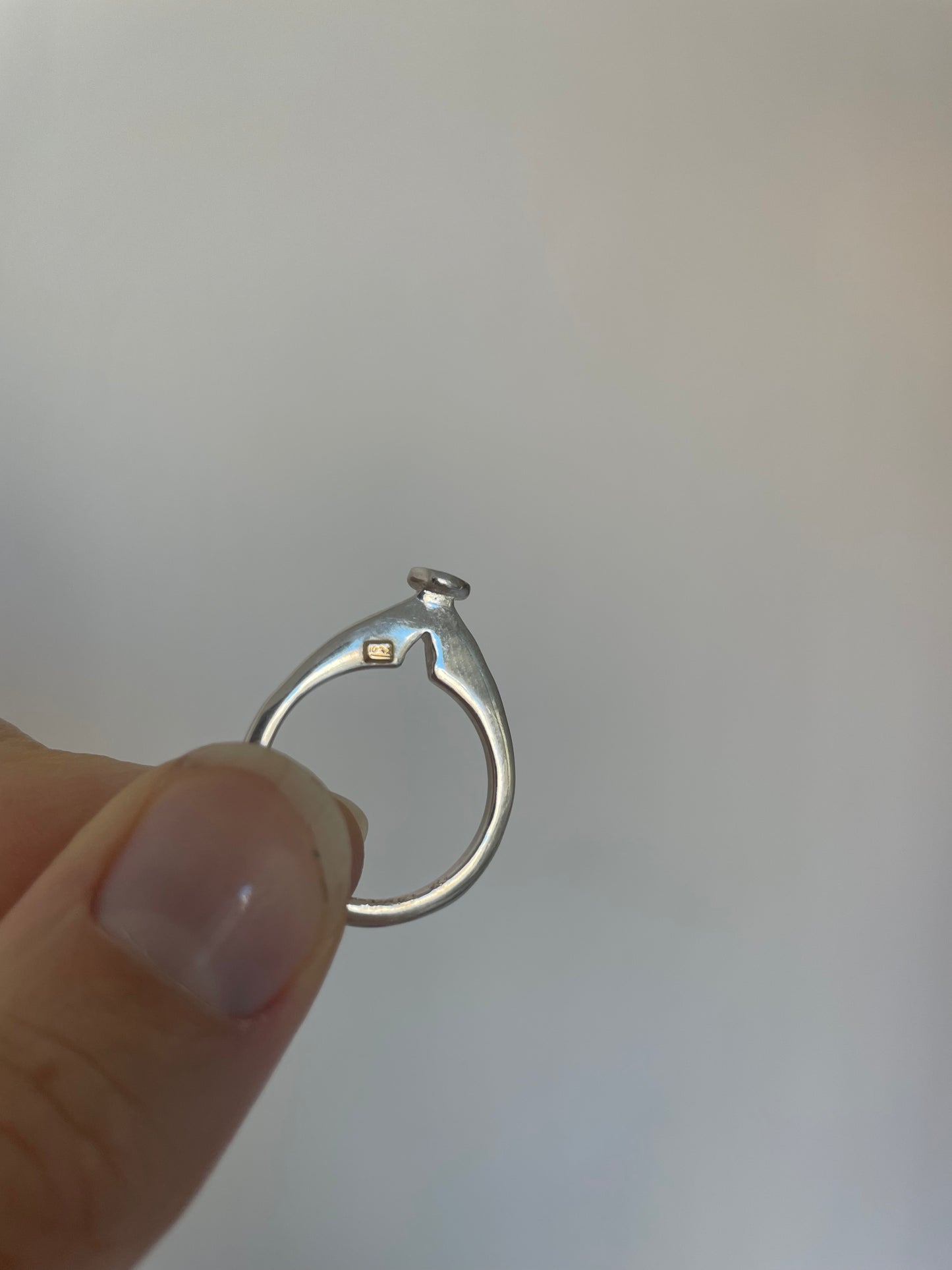 rosa maria pesta ring