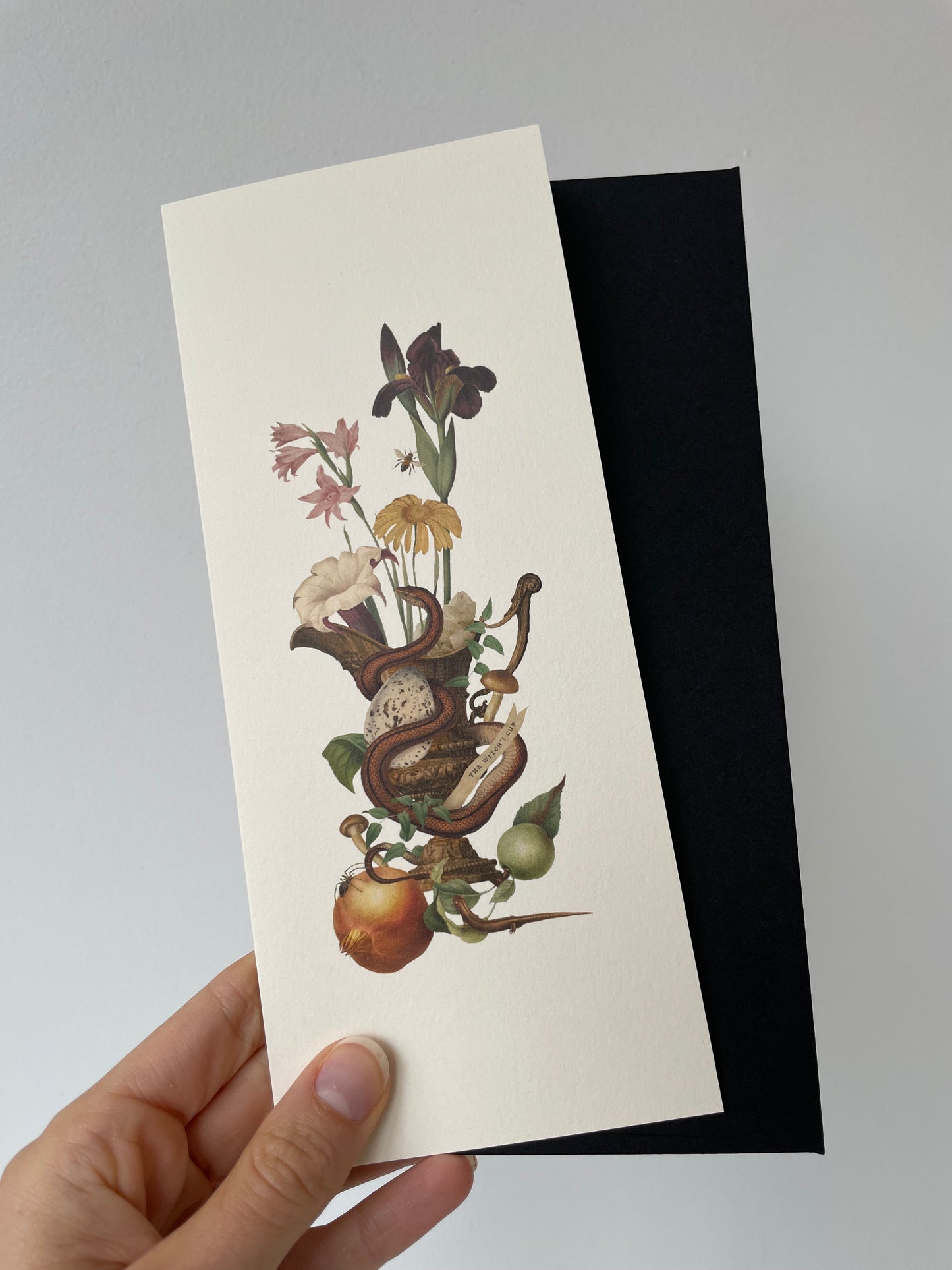 open sea witch’s cup card