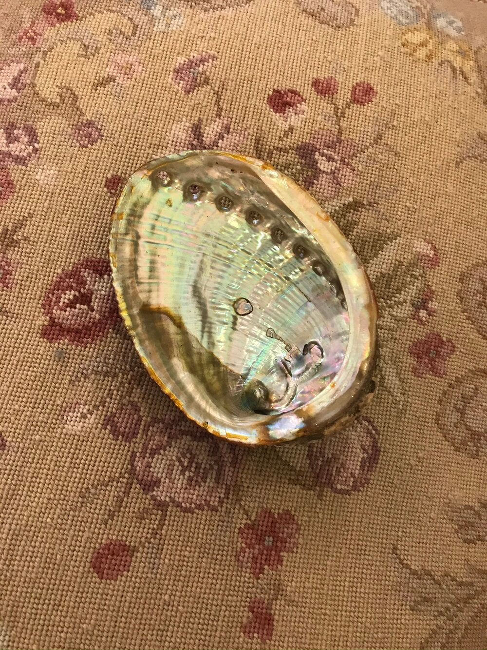 abalone shell