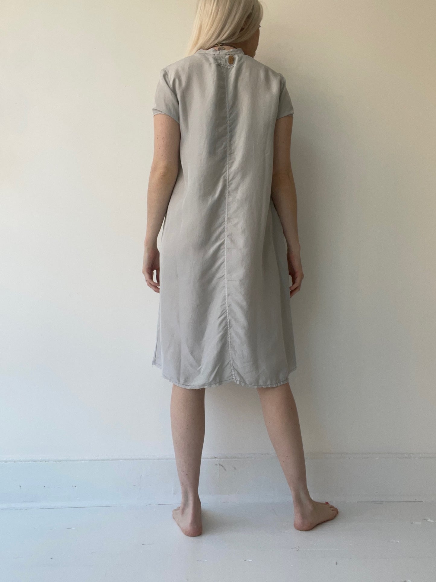 aequamente silk ghia dress