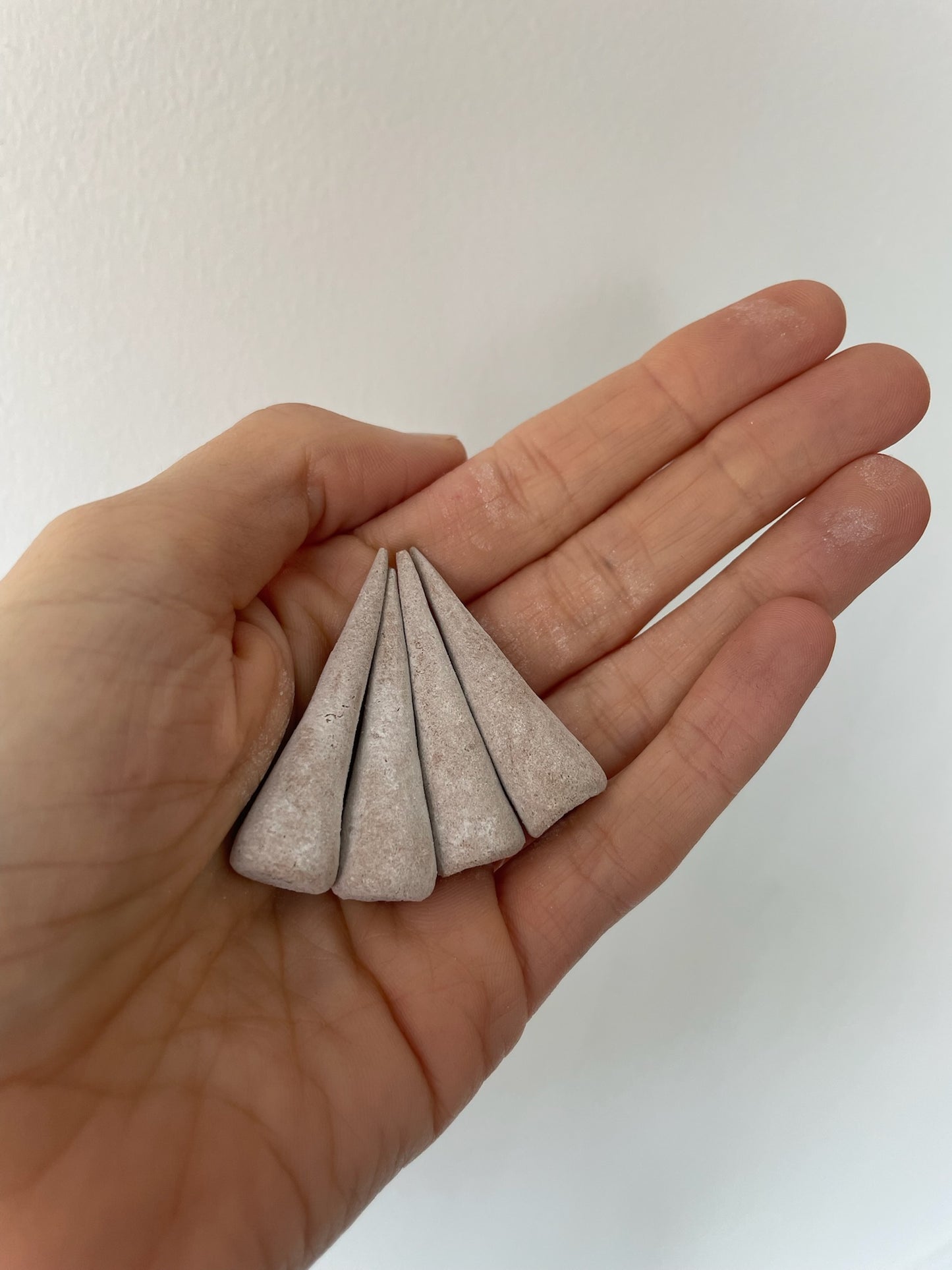 plant makeup copal and sage incense cones