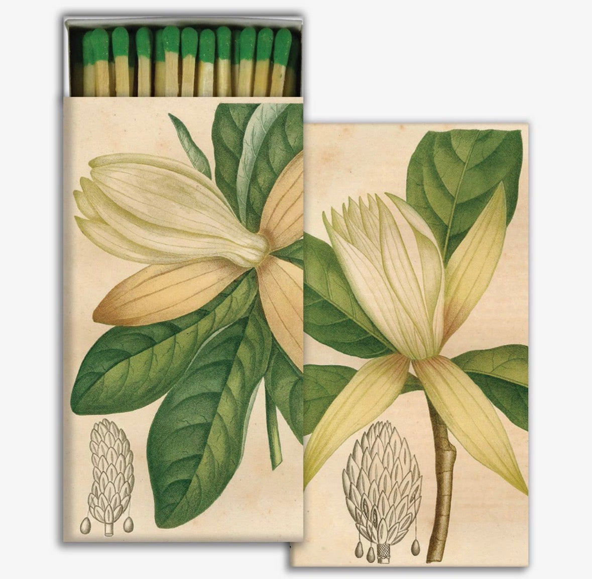 magnolia matches