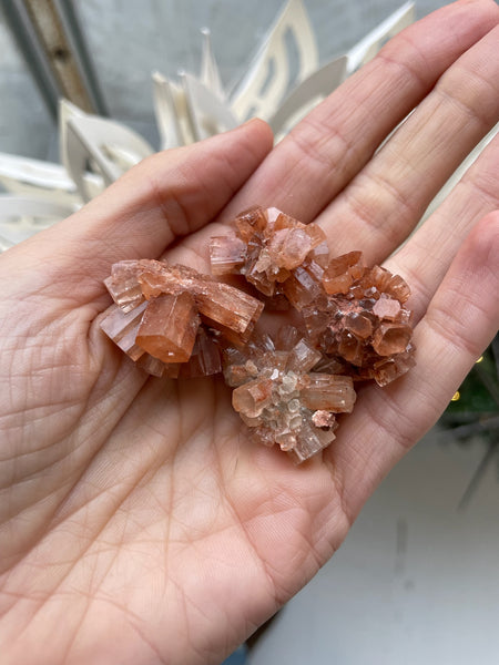 star aragonite crystal cluster