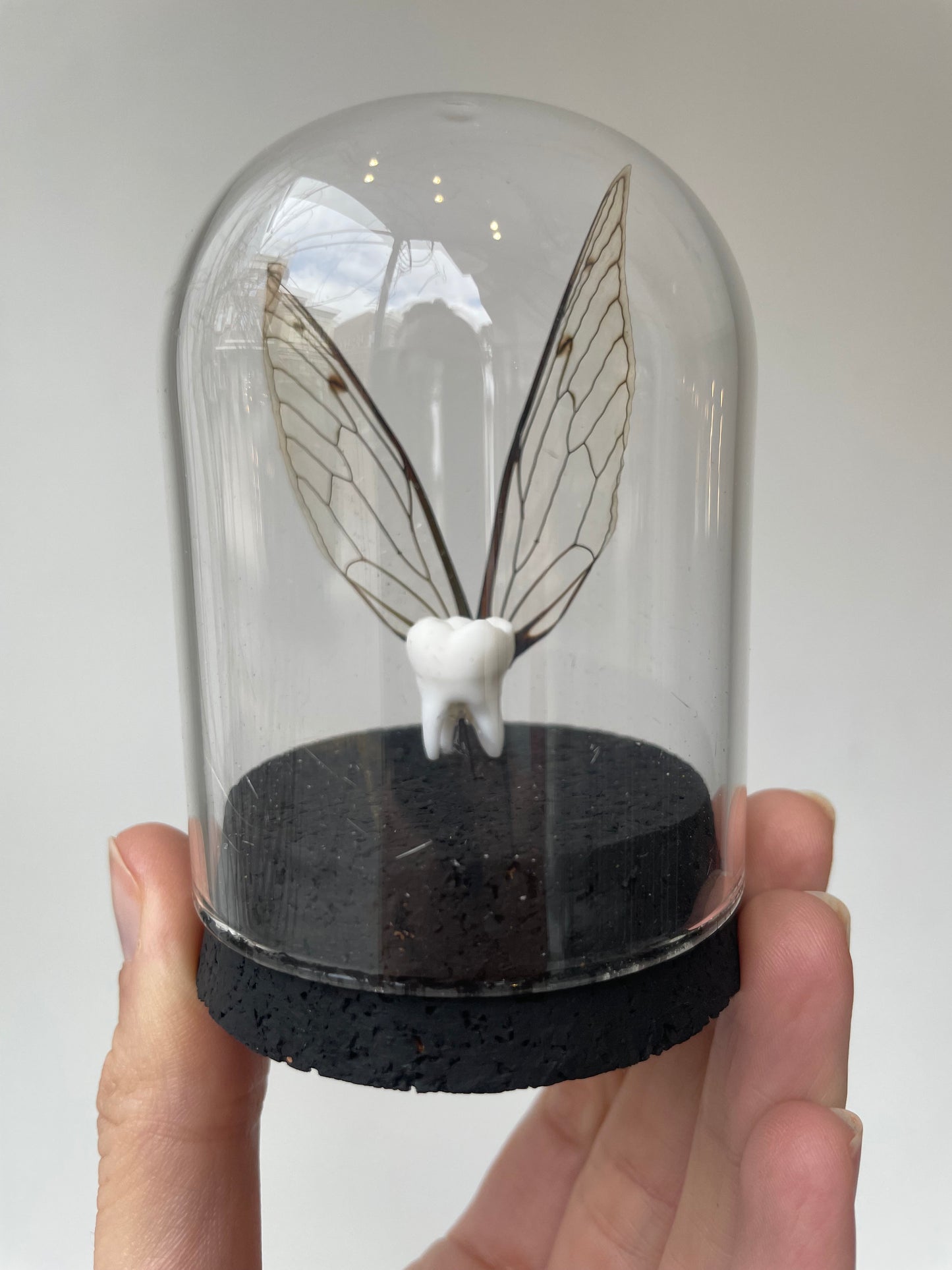 tooth fairy