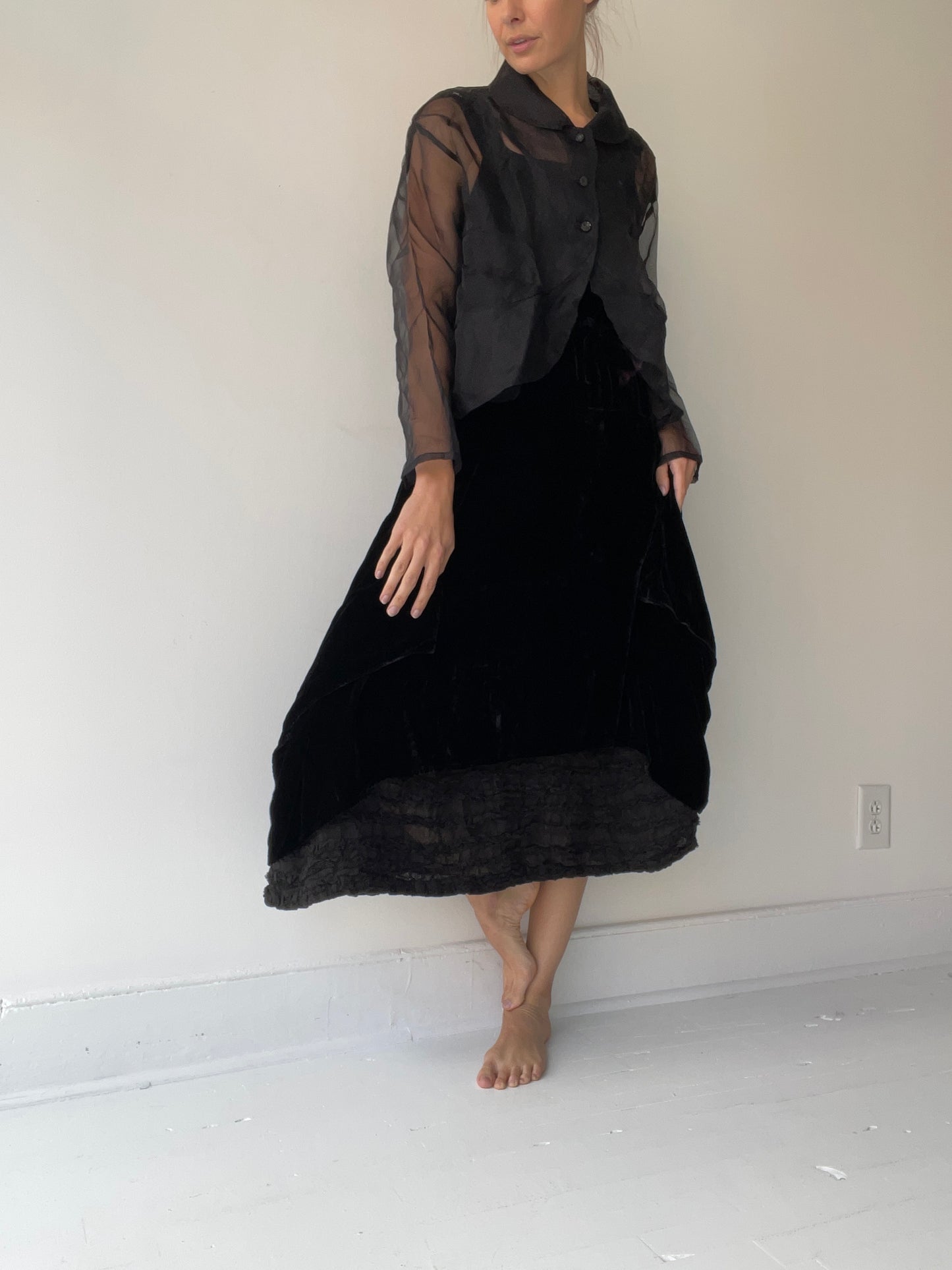 a dragonfly jacket by krista larson 100