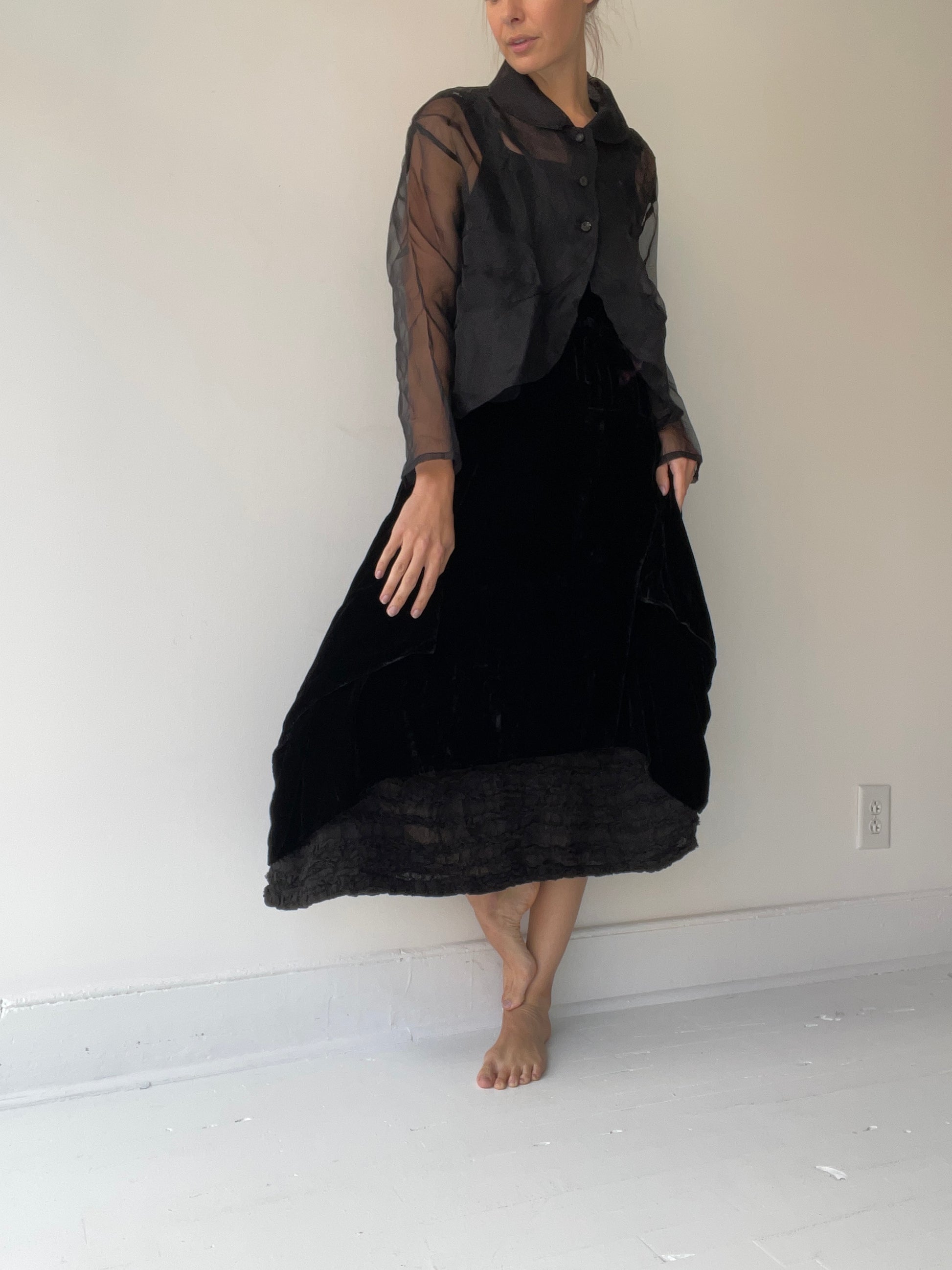 a dragonfly jacket by krista larson 100