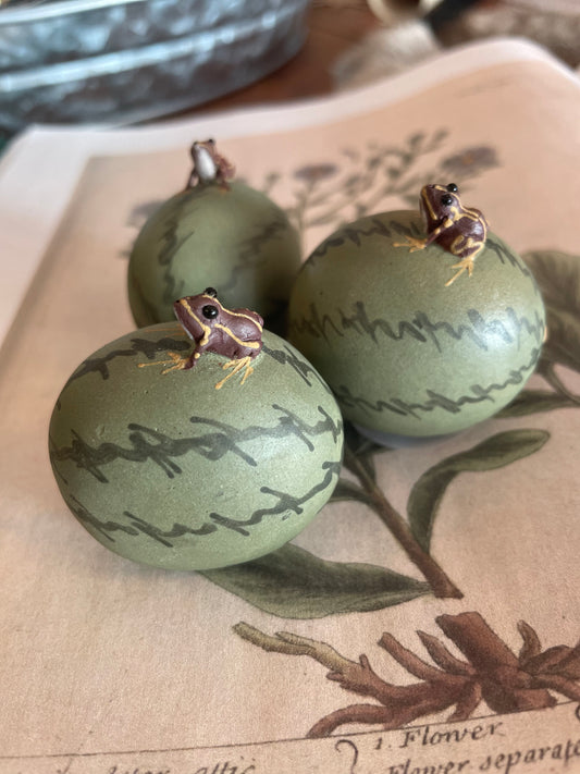 a frog tea lover’s pet