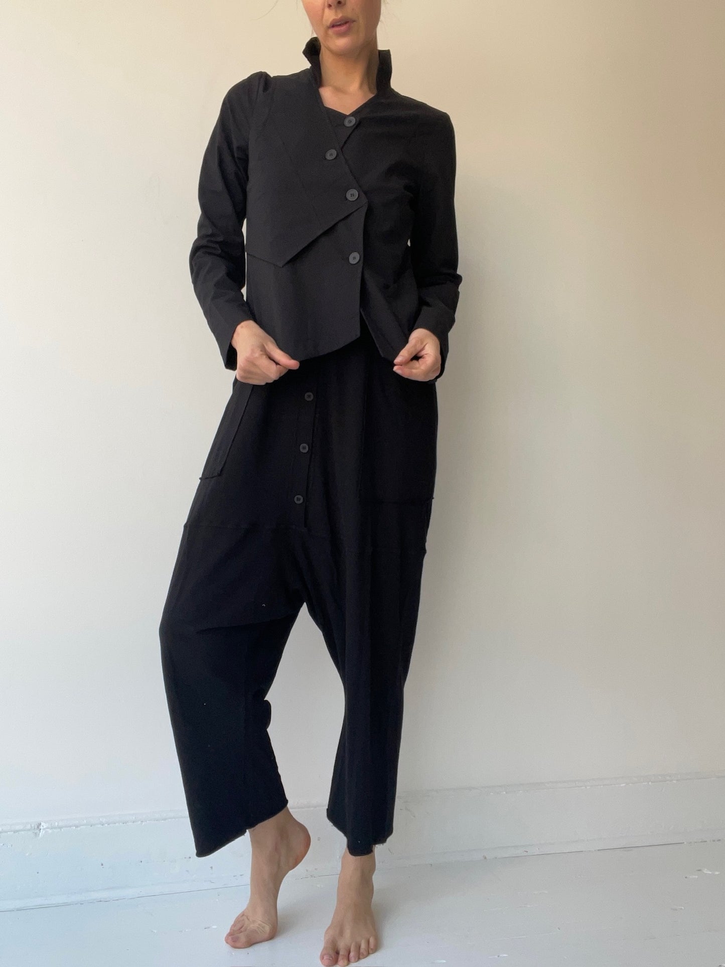 pal offner dissected jacket