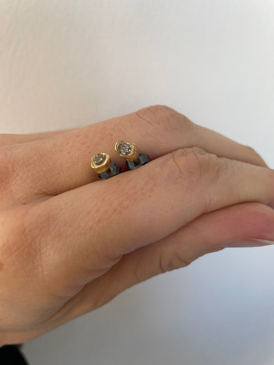 rosa maria wita earrings