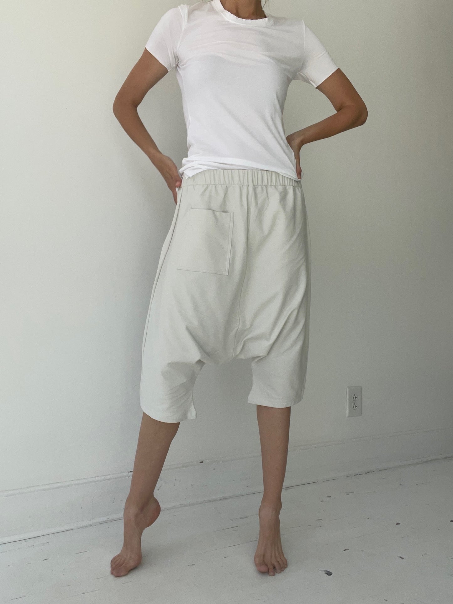 pal offner light trouser