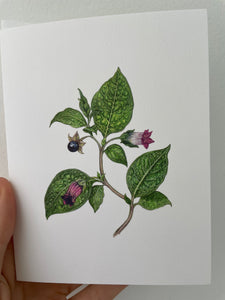 belladonna greeting card