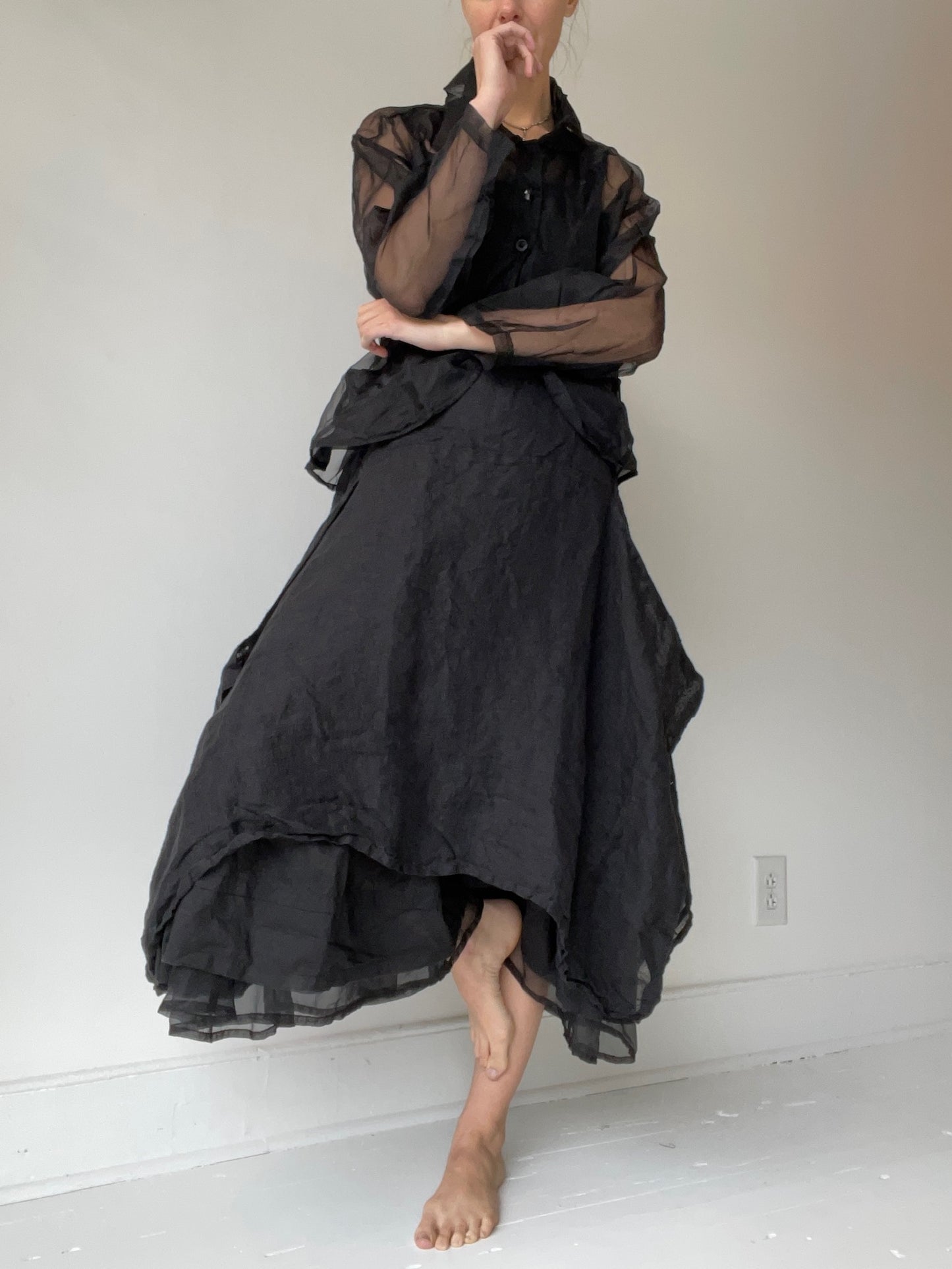 a dragonfly jacket by krista larson 100