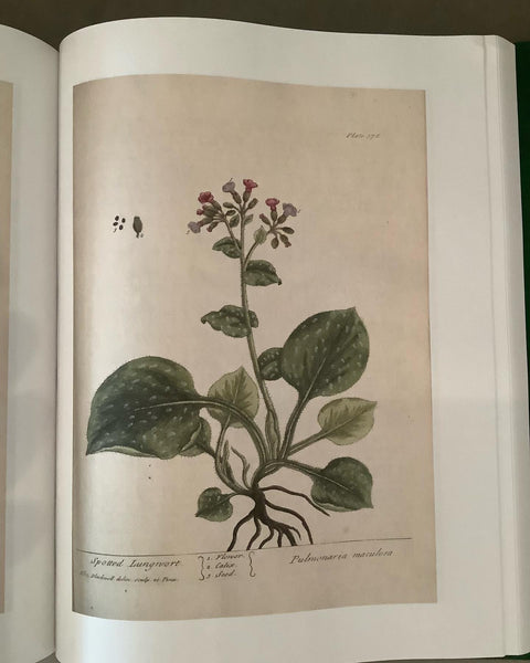 a curious herbal by elizabeth blackwell