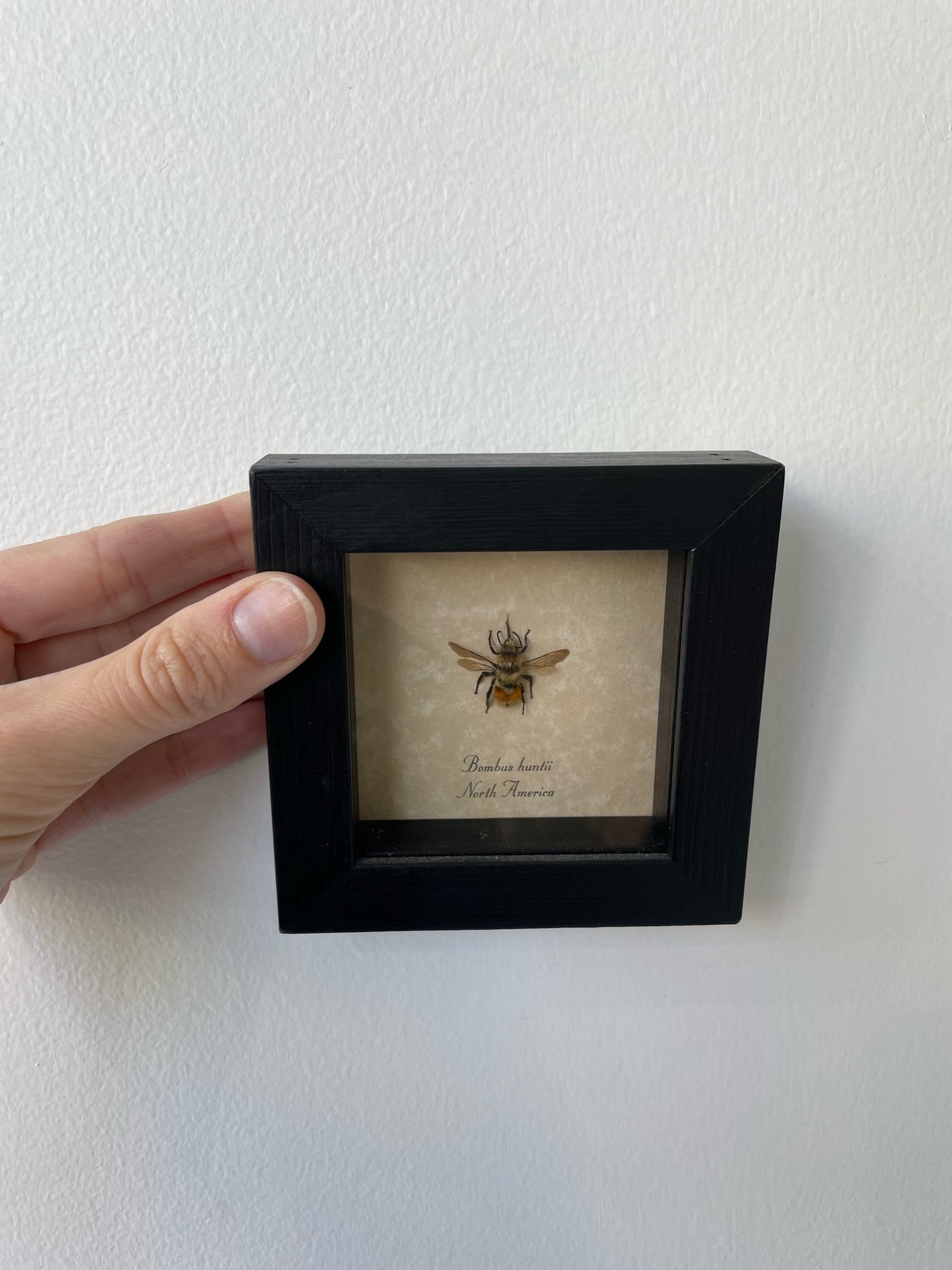 a little bee artwork